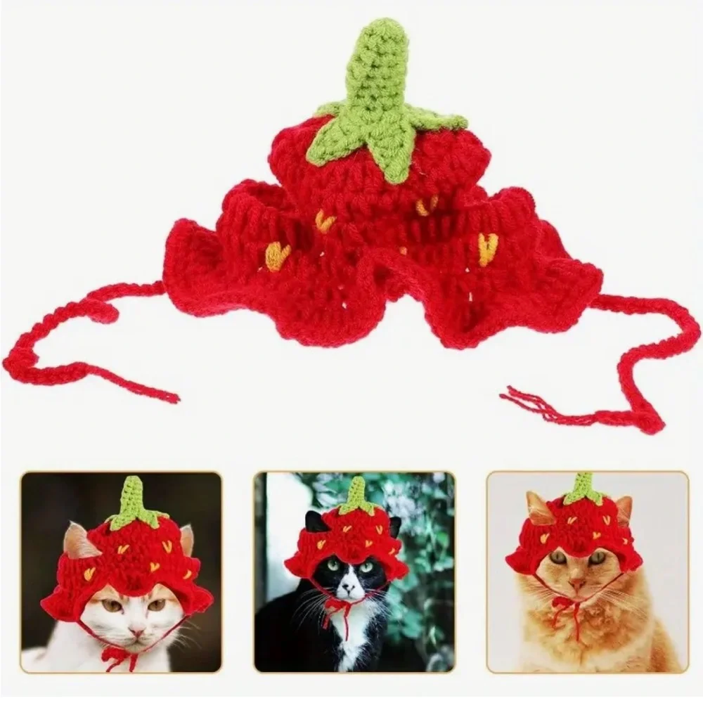 Red Strawberry Handcrafted Crochet Cat Dog or Small Pet Hat (Sm)